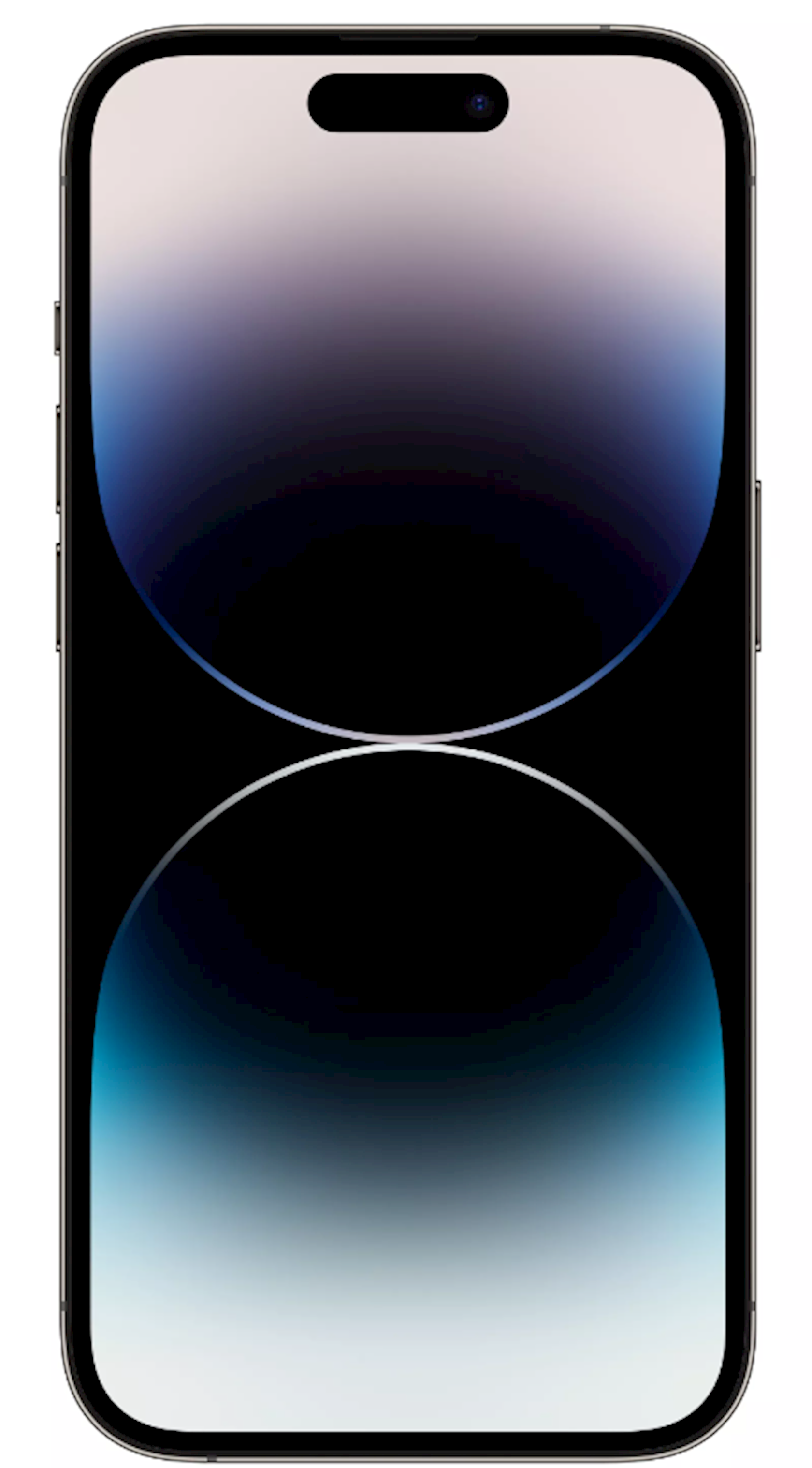 Smartfon Apple iPhone 14 Pro 6GB/256GB Dual Sim Space Black