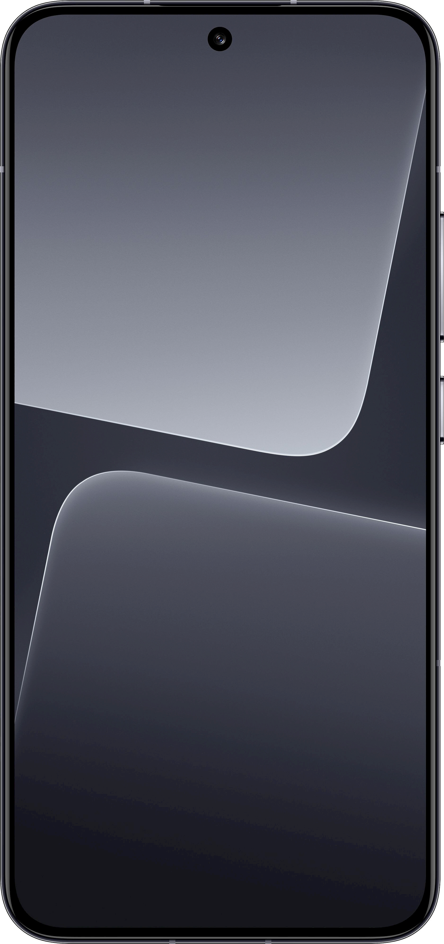 Smartfon Xiaomi 13 5G 12GB/256GB Black (6941812712122)
